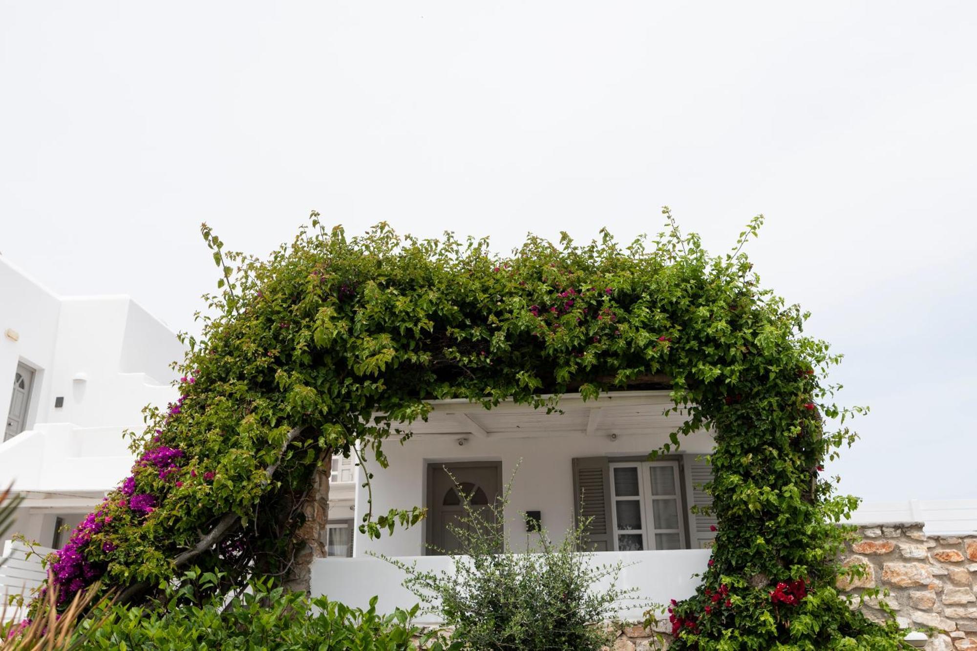 Paros Agnanti Resort & Spa Eksteriør bilde